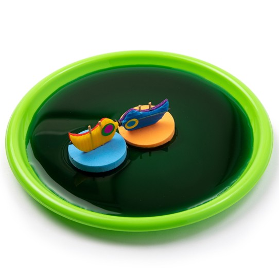 תמונת אירוע: פעילות 'אגדה ומדע בכריכה אחת' – ציפורים מגנטיות